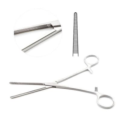 Rankin Kelly Forceps 6 1/4"